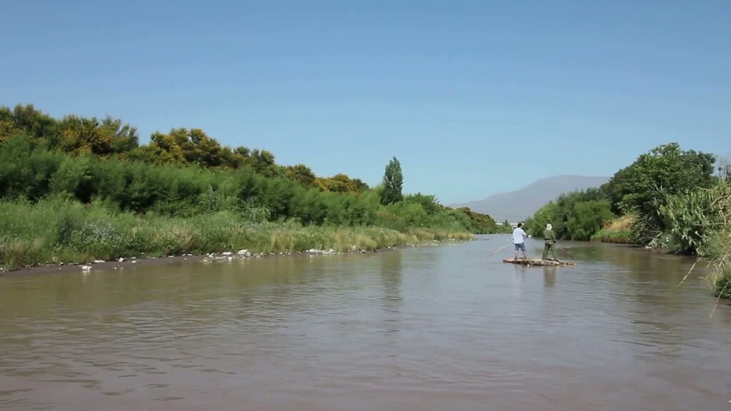 Noah’s raft, (living off) the fat of the land