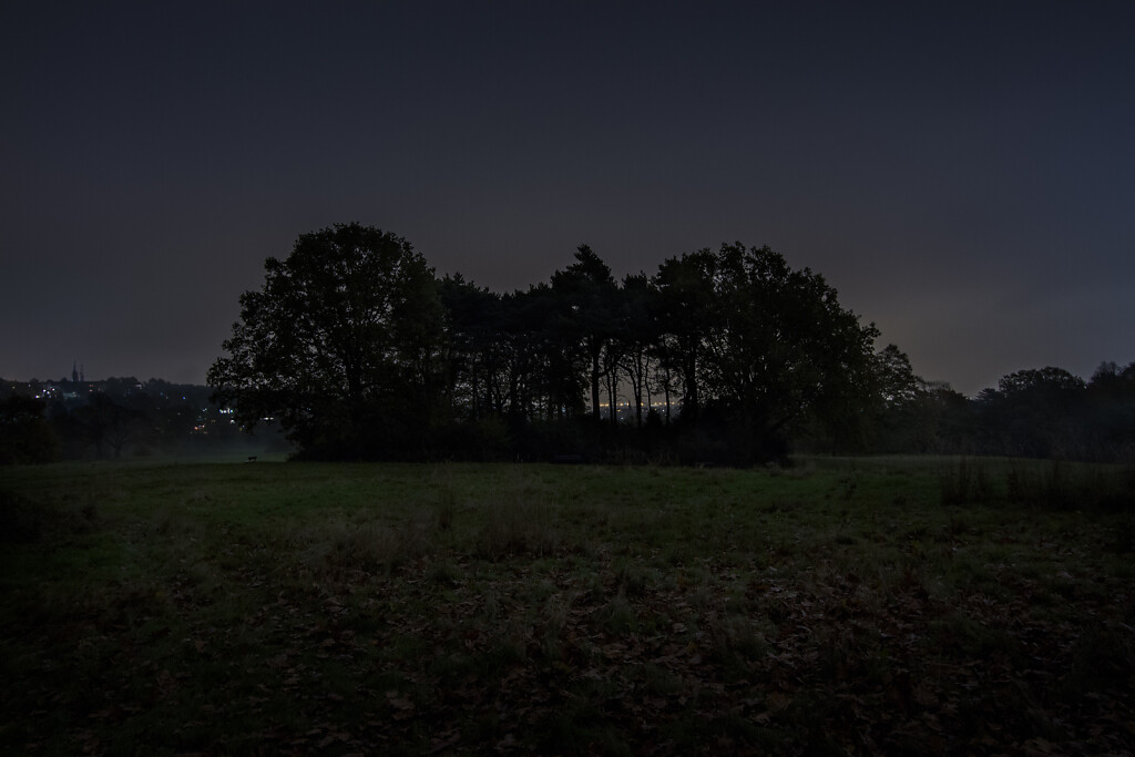 Untitled (Tumulus, Hampstead Heath)