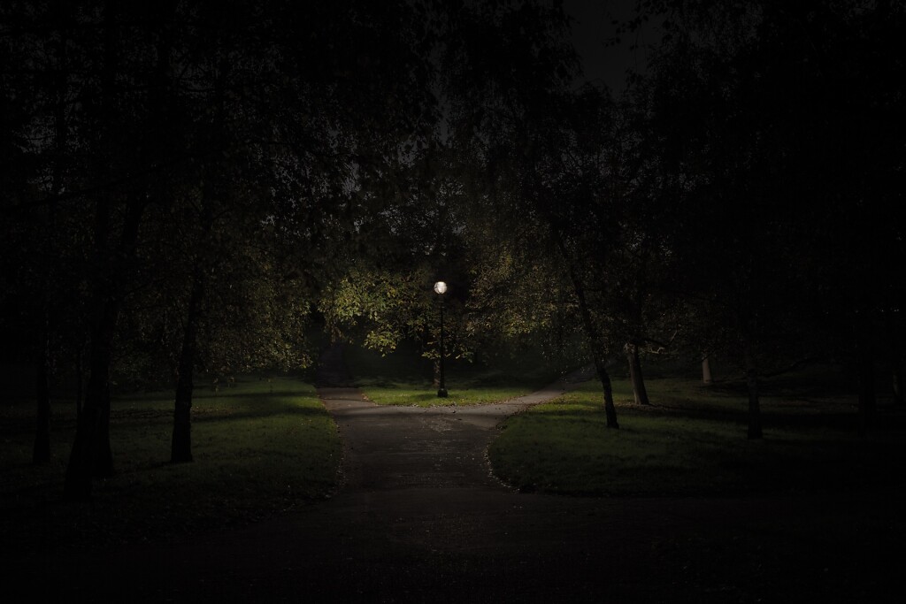 Untitled-Hyde-Park-WestminsterDigital-C-print-Mounted-on-Aluminium-and-Perspex-152-x-102-cm-60-x-40-inches.jpg